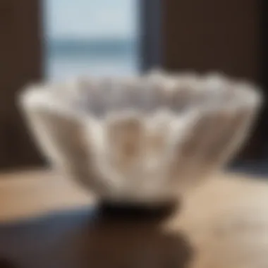 Magnificent The 8-Inch Selenite Bowl: An In-Depth Examination Magnificent The 8-Inch Selenite Bowl: An In-Depth Examination