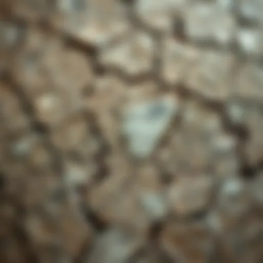 Close-up view of quartzite texture showcasing its unique patterns