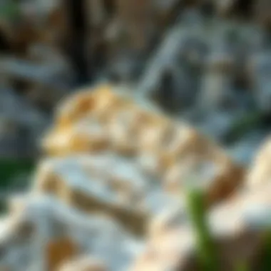 Quartzite in Nature Geological formation of quartzite in a natural setting