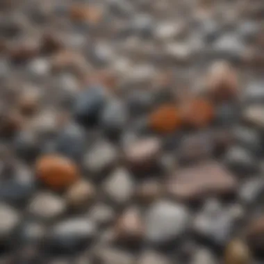 An array of different granite types displayed in a natural setting.