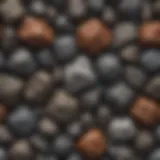Various meteorite samples showcasing their unique textures and compositions
