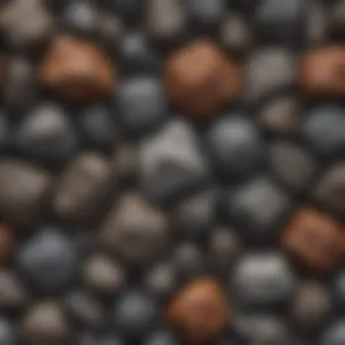 Various meteorite samples showcasing their unique textures and compositions