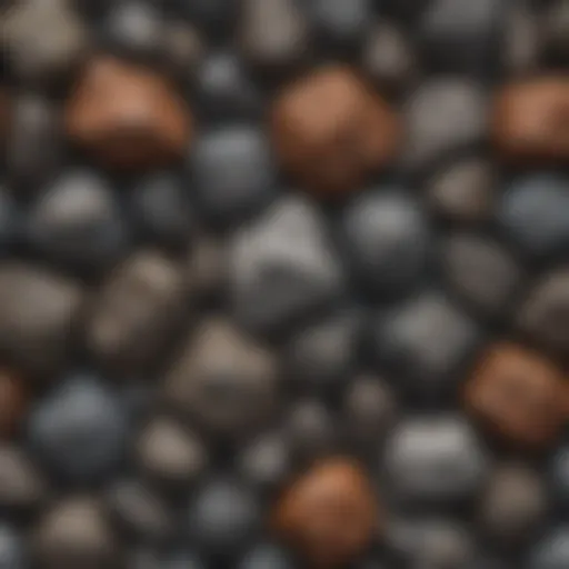 Various meteorite samples showcasing their unique textures and compositions