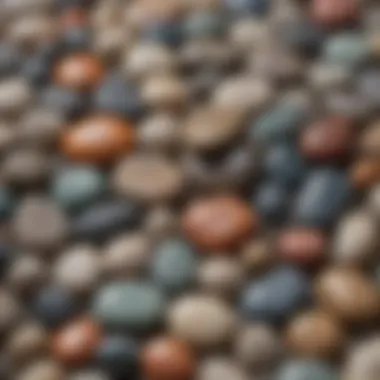 Diverse Varieties of Andara Stone A beautiful arrangement of different varieties of Andara stones on a natural surface