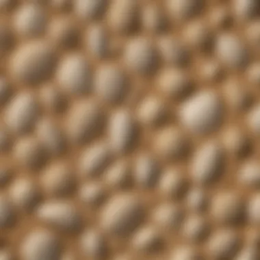 Variety of Beach Sand Scoops Comparison of different beach sand scoops highlighting varying features.