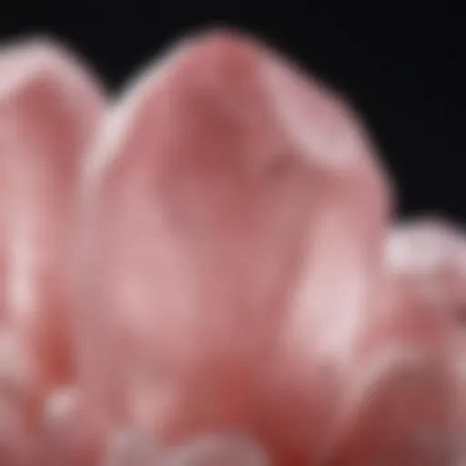 Large rose quartz crystal displaying its translucent pink beauty