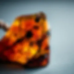 A close-up view of a piece of Burmese amber showcasing its intricate inclusions