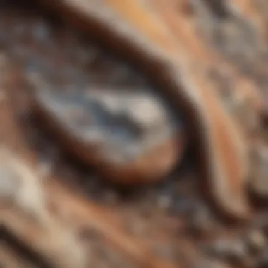 Geological formation displaying various colors and patterns of chert