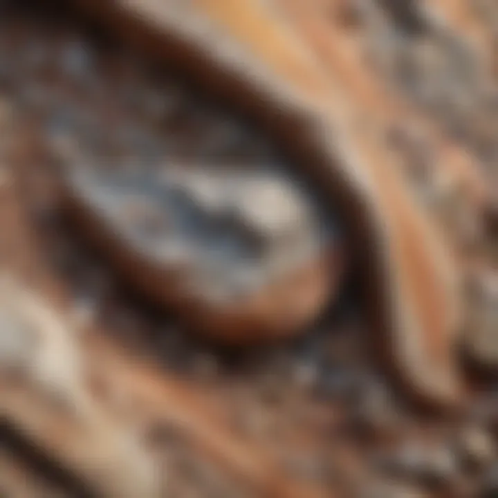 Geological formation displaying various colors and patterns of chert