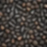 Different types of Dremel bits laid out for rock polishing