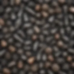 Different types of Dremel bits laid out for rock polishing