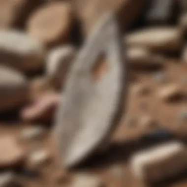 Authenticity in Stone Arrowhead Collecting An authentic stone arrowhead with clear signs of age and use, emphasizing authenticity