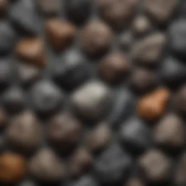 A close-up view of various types of meteorites laid out for comparison