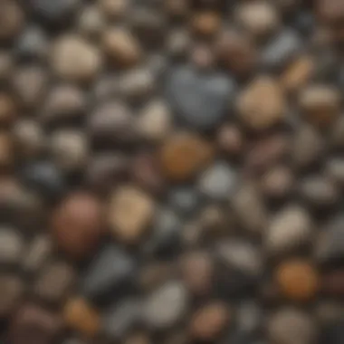 Diverse Rock Collection A collection of various rocks showcasing different textures and colors