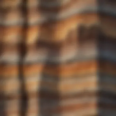 Sedimentary Rock Layers Sedimentary rocks layered with distinct colors and patterns
