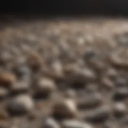 A selection of rough stones ready for tumbling