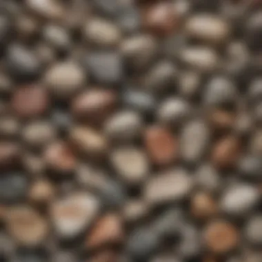 Diverse Rock Samples Close-up of various rock samples illustrating diversity