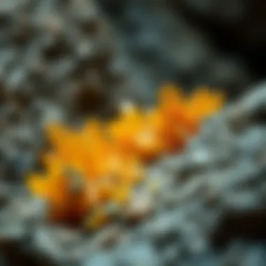 Natural Habitat of Wulfenite Geological setting where wulfenite is typically found, illustrating its natural habitat.