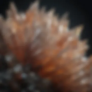 A close-up view of a crystal with intricate patterns and textures