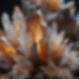 A close-up of various quartz crystal formations showcasing their unique structures and colors.