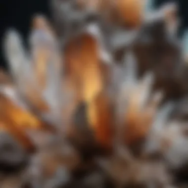 A close-up of various quartz crystal formations showcasing their unique structures and colors.