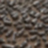 Close-up view of various Dremel abrasive bits arranged neatly