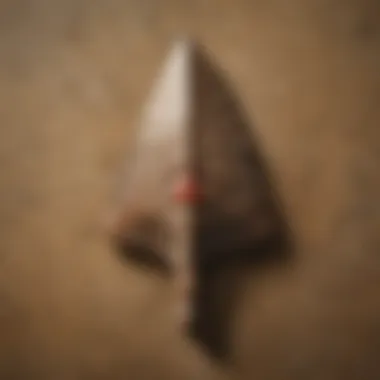 Arrowheads displayed in a museum setting, emphasizing their historical context