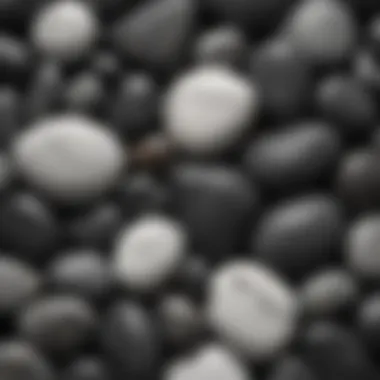 Metaphysical Properties of Black and White Stones A detailed infographic illustrating the metaphysical properties of popular black and white stones
