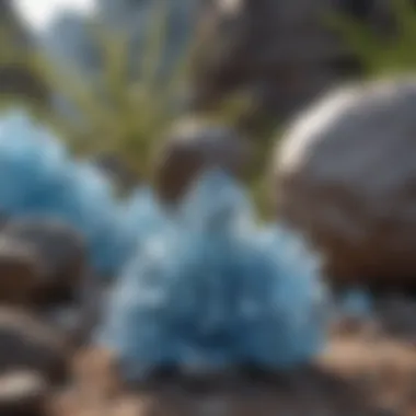 Natural setting showcasing light blue crystals amidst rocks