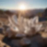 Stunning quartz crystals glistening under the sun in Hot Springs