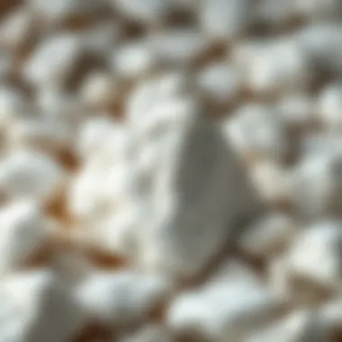 The Unique Attributes of Pumice Stones A collection of white pumice stones showcasing their lightweight and porous structure.