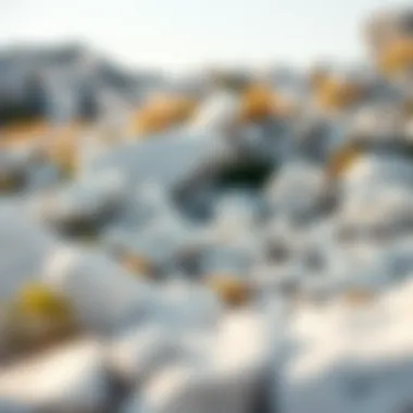 Sedimentary White Rocks in Their Natural Habitat A natural landscape featuring various sedimentary white rocks in their environment.
