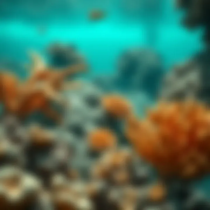 Marine Ecosystem and Fossilized Coral A scenic marine ecosystem highlighting the connection between fossilized coral and modern environments.