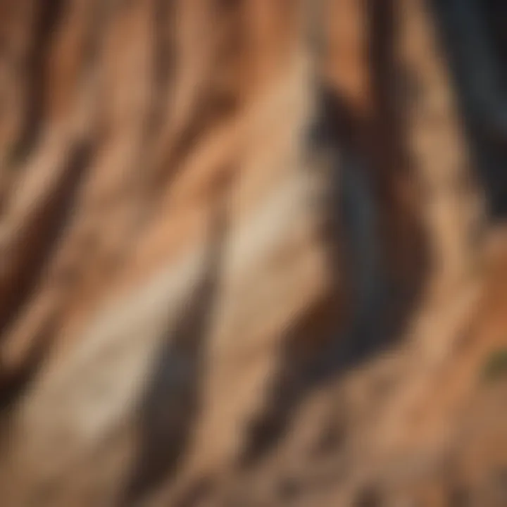 Detailed image highlighting unique geological features and erosion patterns on a cliff face