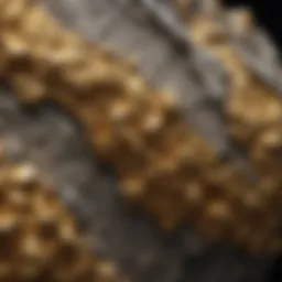 Close-up view of a gold ore specimen showcasing intricate mineral patterns