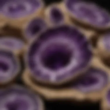 A Showcase of Amethyst Geode Diversity Collection display of various amethyst geodes in different sizes and shapes