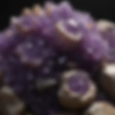 Display of Large Amethyst Clusters Beautifully arranged large amethyst clusters in a display setting