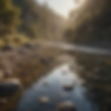 A serene riverbank where gold panning occurs