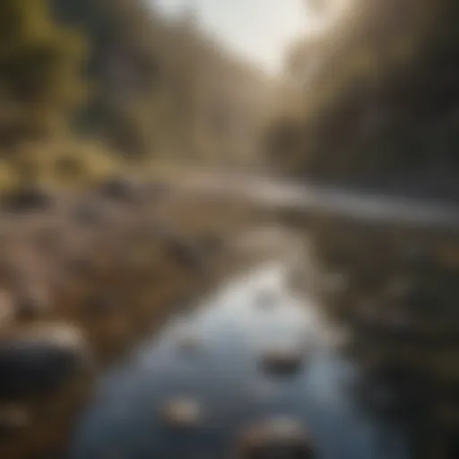 A serene riverbank where gold panning occurs