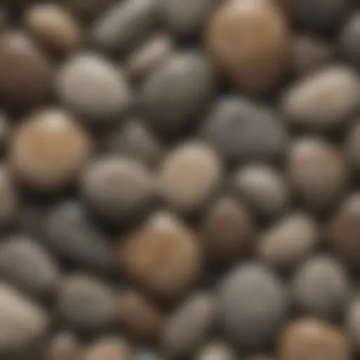 A close-up view of Petoskey stones showcasing their unique patterns