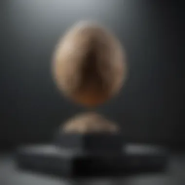 Minimalism in Display: Focus on the Artifact Minimalistic display stand highlighting an exquisite sculpture