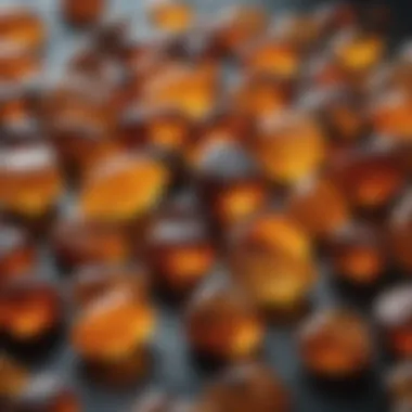 Various types of amber displaying their unique colors and textures.