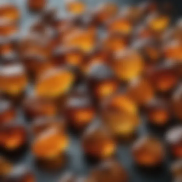 Various types of amber displaying their unique colors and textures.