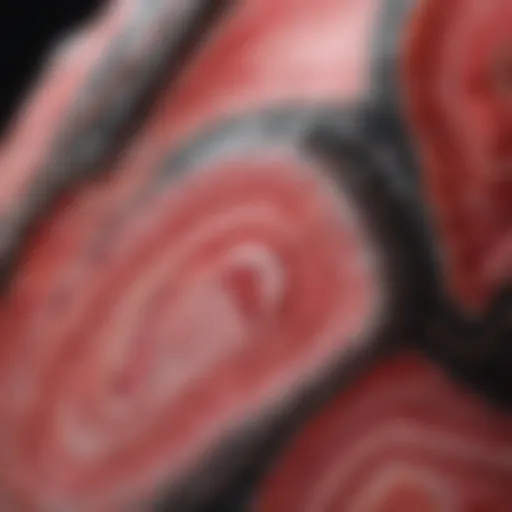 Close-up view of a polished rhodochrosite specimen showcasing its unique banding patterns.