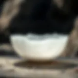 A stunning selenite moon bowl capturing light