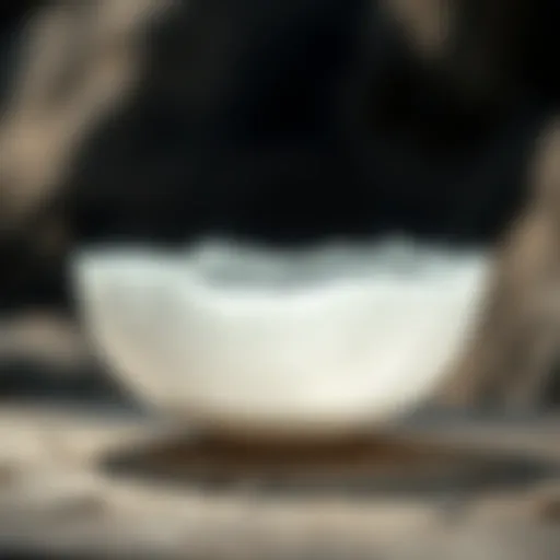 A stunning selenite moon bowl capturing light