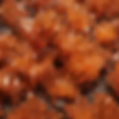 Vibrant Orange Crystals An array of vibrant orange crystals, highlighting their unique formations and scintillating colors
