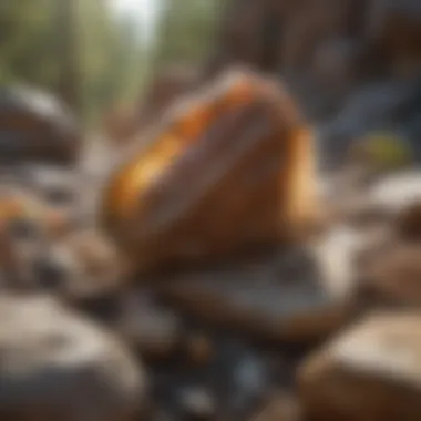 Diverse Rock Types in Nature A variety of rock types displayed in natural settings