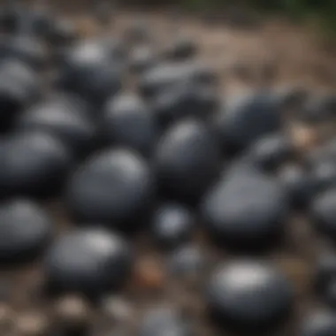 An array of dark stones displayed in a natural setting