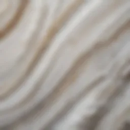 A close-up view of polished white agate showcasing its unique banding patterns